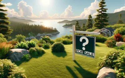 Who Is The Best Real Estate Agent For Me?